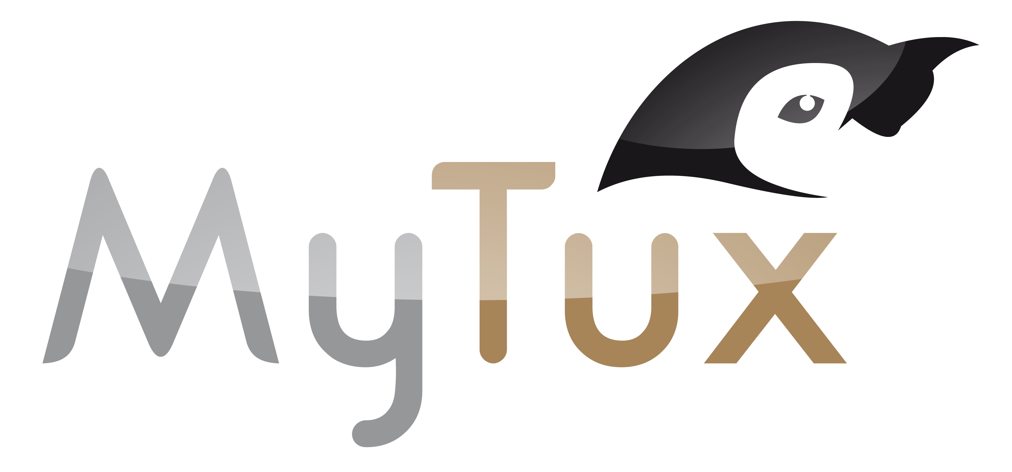 Développeur Python orienté réseaux (streaming, socket, threads)