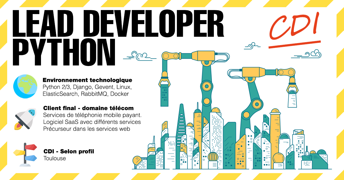 Lead Developer Python